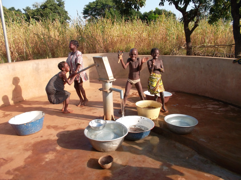 <p>Pompe manuelle pour l'alimentation en eau. Les zones de socle du Bénin sont peu productives et nécessite des méthodes de prospection nouvelles.</p>