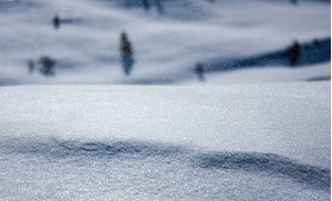 Que voit un photon qui arrive dans la neige ?