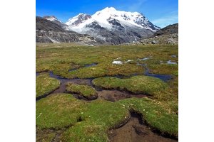 Les Andes, vigie du réchauffement climatique