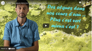 FLASH : Des algues dans nos cours d'eau : plus c'est vert mieux c'est ?