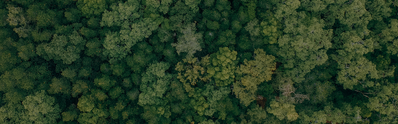 Biodiversity and Climate COPs : turning promises into action