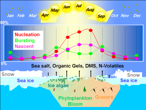 Polar atmosphere-ice-ocean Interactions : Impact on Climate and Ecology