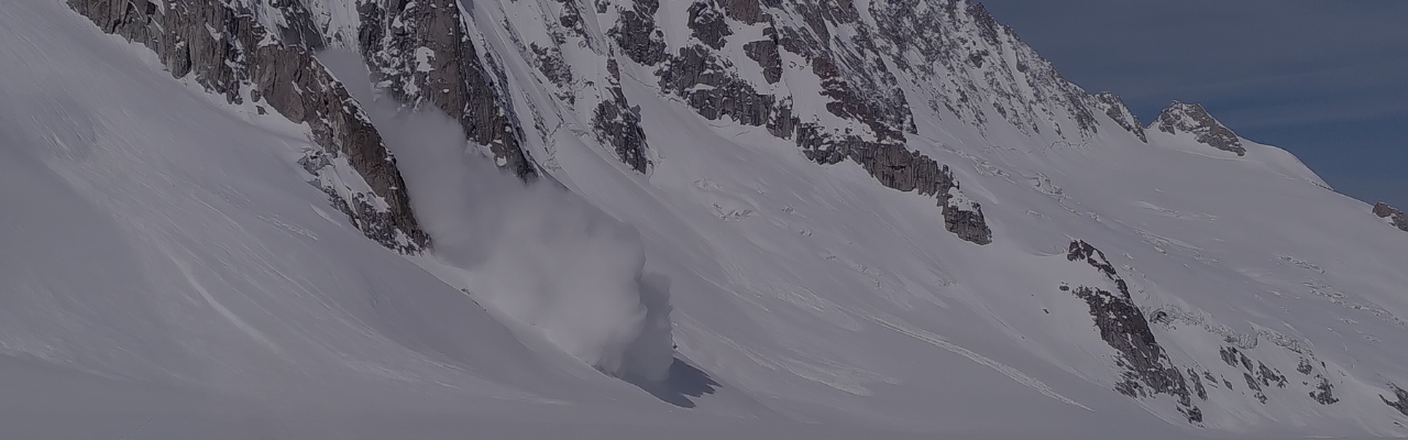 Avalanche maps of the Alps, Himalayas and Karakorum : variability and impact on glaciers