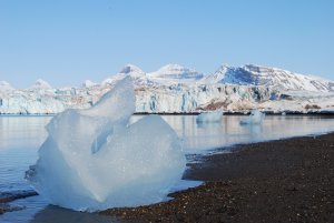 Limit global warming to 1.5°C and halve the land ice contribution to sea level this century