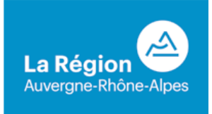 Développement d'outils d'analyse pour une gestion alternative des eaux urbaines des grandes métropoles : comparaison entre Lyon (France) et Ho Chi Minh Ville (Vietnam)