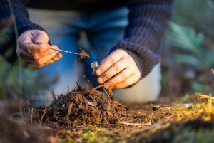Étudier la Terre sans la détruire davantage : comment faire de la recherche bas-carbone ?