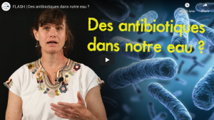 Vidéo Flash - Des antibiotiques dans notre eau ?