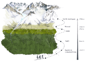 4810 pixels - Randonnée virtuelle sur les flancs du Plan de l'Aiguille à Chamonix