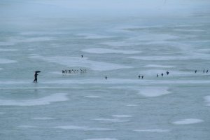 Les rivières atmosphériques font fondre l'Antarctique