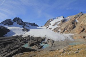A novel study reveals a significant decline in glaciers on a global scale