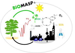 Projet BIOMASP+