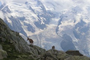 La glace du Mont Blanc révèle un lien inédit entre poussières sahariennes et climat en Europe de l'Ouest